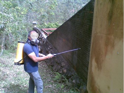 Empresa de Dedetização no Jardim Patente