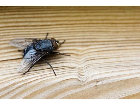 Dedetizadora de Mosquitos em Interlagos